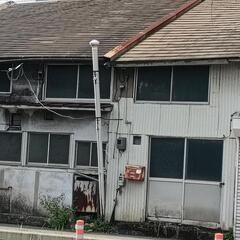 臭突仲間募集中！ − 鹿児島県