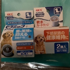 犬用マナーウェア男の子の画像