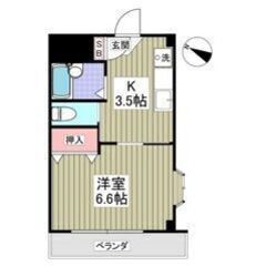 💙💜フリーレント1ヶ月付き💜💙葛西駅徒歩19分🎶角部屋✨バストイ...