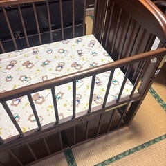 ベビーベット　
の画像