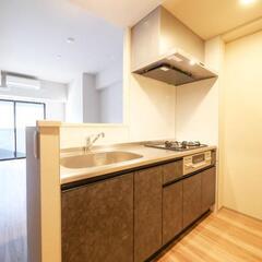 IN🌷即入居可！高級賃貸マンション✨敷金ゼロ🌈礼金ゼロ🌈仲介手数料ゼロ🌈フリーレント１ヶ月付き(共益費含む)✨ワンちゃん・ネコちゃん🐶🐱一緒に暮らせます🌸🌸🌸 − 東京都