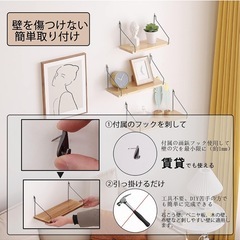 ウォールシェルの画像