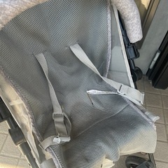 子供用バギーの画像