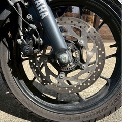 ヤマハ　FEZER250の画像