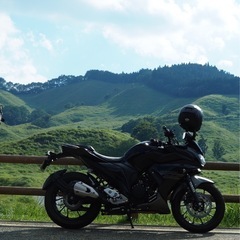 ヤマハ　FEZER250の画像