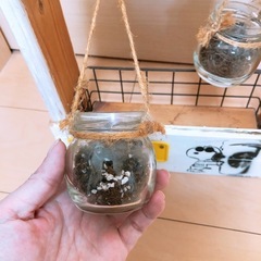 【ハンドメイド店にて購入】観葉植物やインテリア、収納に　ビンテージ加工棚の画像