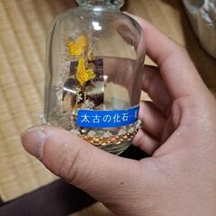 太古の化石ボトルシップ？の画像