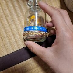 太古の化石ボトルシップ？の画像