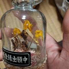 太古の化石ボトルシップ？の画像
