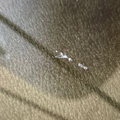 ニトリ　ガラスセンターテーブルの画像