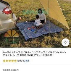 カーサイドタープの画像