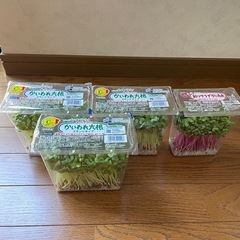 令和5年産新米奈良県産ヒノヒカリ玄米30KG農家直売です(2本 令和5年産新米奈良県産ヒノヒカリ玄米30KG農家直売です(2本