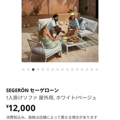 
【IKEA】SEGERON セーゲローン／1人掛けソファの画像