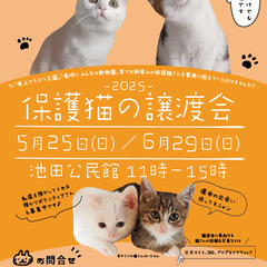 NECOAS 保護猫の譲渡会　静岡市駿河区　2025/6/…