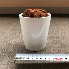 植木鉢　白色そのニ