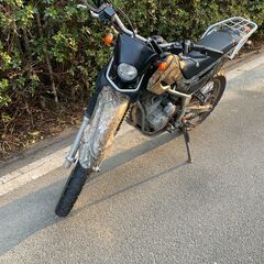 セロー250　25thアニバーサリー　リアルツリー	DG17Jの画像
