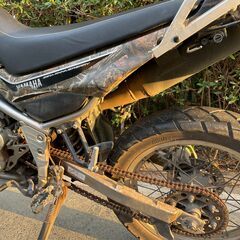 セロー250　25thアニバーサリー　リアルツリー	DG17Jの画像