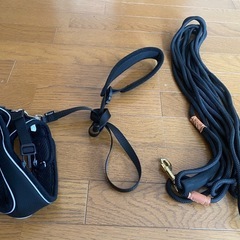 猫　犬　リード　ハーネスの画像