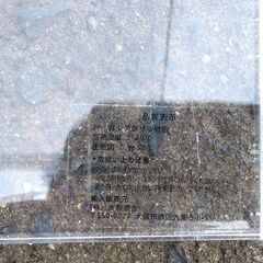 アクリル Z型サイドテーブル 幅30×奥30×高49㎝ ディスプレイ 店舗什器 飾り棚 家具 透明 札幌市 中央区 南12条の画像