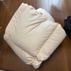 羽毛布団(布団ケースとカバー付き)