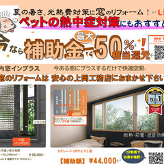 暑さ軽減　内窓設置は当店へ！　ペットの熱中症対策にもおすすめ！の画像