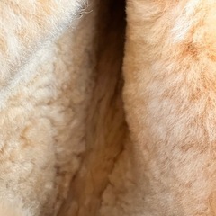 ムートン　靴　室内履きの画像