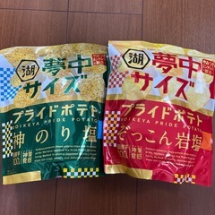 湖池屋　夢中サイズ　ポテトチップス　のり塩　岩塩