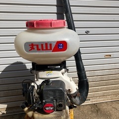 佐渡市限定　丸山動墳中古