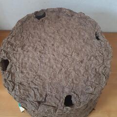 エリン　ワンダーポット　植物鉢の画像