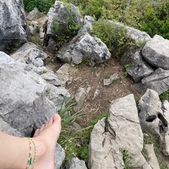 アーシング🌏【裸足で低山登山しませんか？自然とつながる体験〜】🌏 - 豊橋市