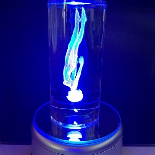 EVA STOREオリジナル メモリアルクリスタル/綾波レイ エヴァ25周年記念