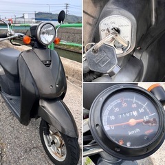 すぐ乗れる!! 実働 Today トゥデイ ホンダ AF61 原付 スクーター  ★セルにて始動可能 ★県内最短当日の画像