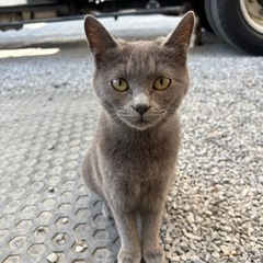 裕ちゃんが愛も変わらず栃木県！