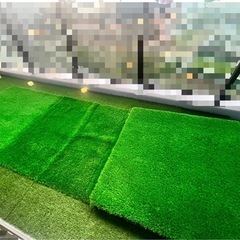 １2〜3万相当　人工芝セットの画像