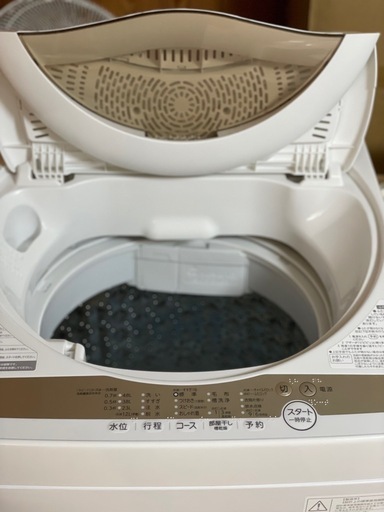 送料・設置込み可　洗濯機　5kg TOSHIBA 2022年【分解クリーニング済み】