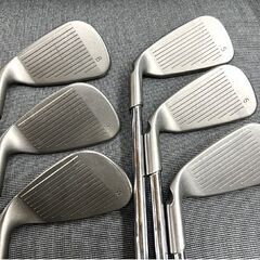 ピン PING G10 アイアンセットPING G10 アイアン フレックスS300