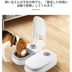 自動餌やり機　ペットフィーダーの画像