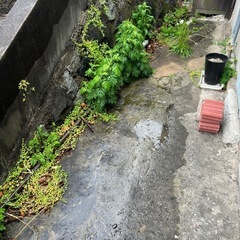 草刈り・草むしりお願いします。