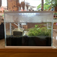 水槽まるごと一式の画像