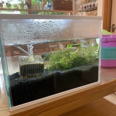 水槽まるごと一式の画像