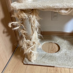 キャットタワー　無料の画像