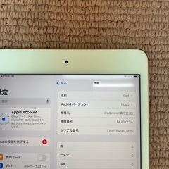 iPad mini5 64GB Wi-Fi版の画像