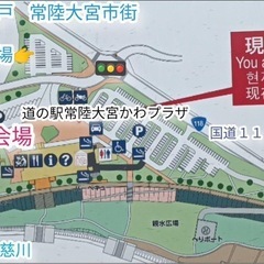 イベント　常陸大宮メダカフェスの画像