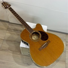 Greg Bennett エレアコギター OM-8CE esta...