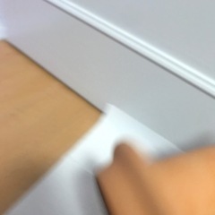 産卵筒➀ 淡水　ディスカス　エンゼルスフィッシュなどの画像