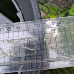 メダカと睡蓮鉢セットの画像