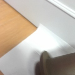 産卵筒② ディスカス　エンゼルフィッシュなどの画像