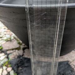 睡蓮鉢中古の画像