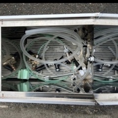 ビールサーバ夏祭りなどに！