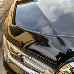 gun125 ハイラックス　後期　
バグガード  の画像